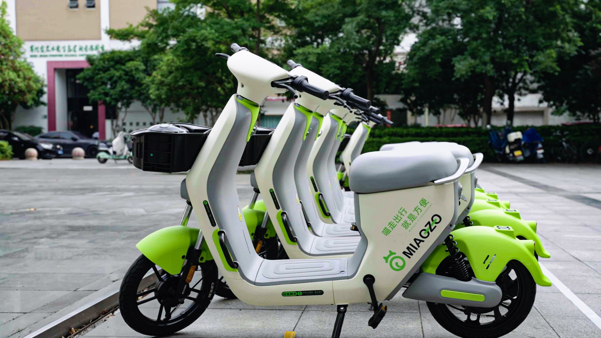 正確停放的共享電單車(chē)